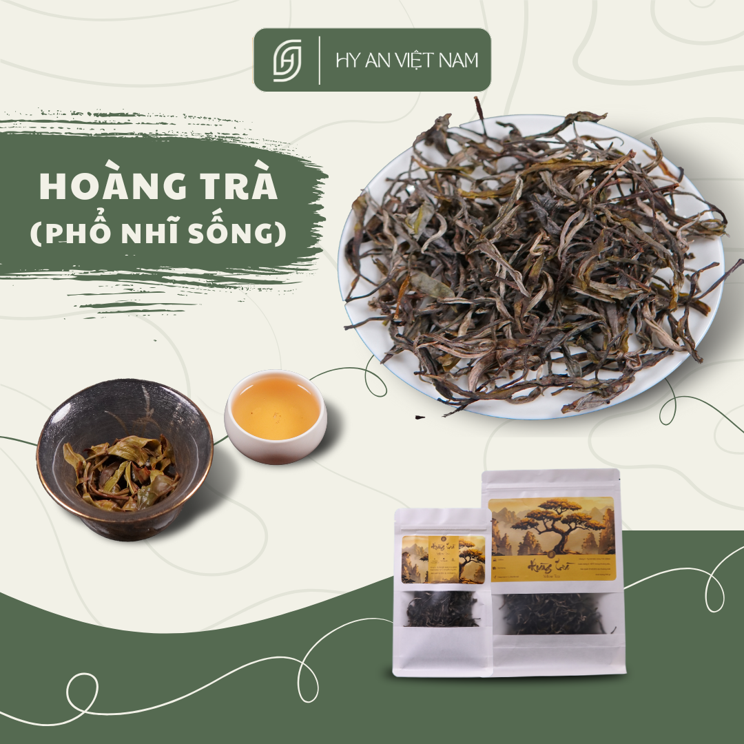 Hoàng trà shan tuyết