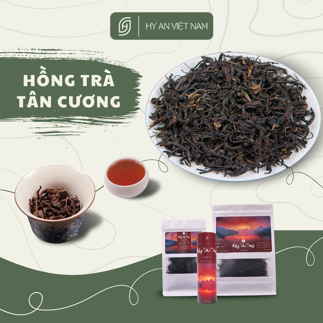 Hồng Trà Tân Cương