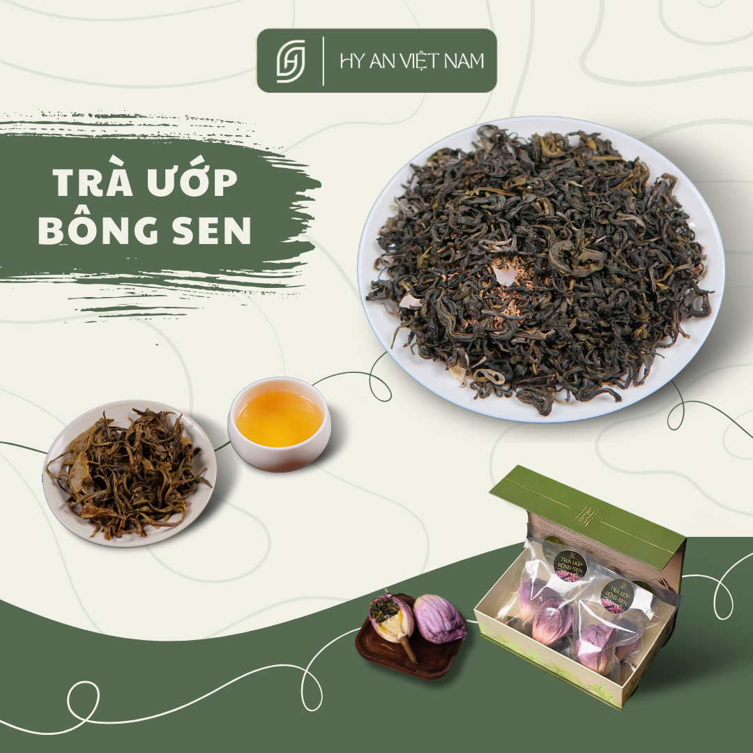 Trà sen Tây Hồ Hộp gồm 6 bông