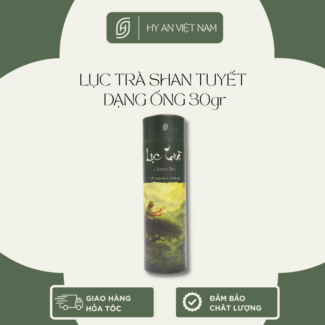 Combo Lục trà-trà xanh - Ảnh 5