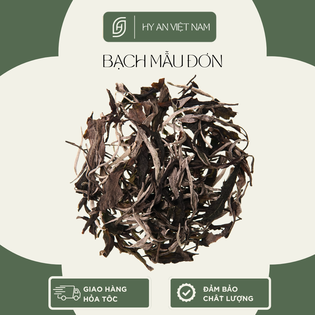 Bạch Trà Mẫu Đơn - Ảnh 3