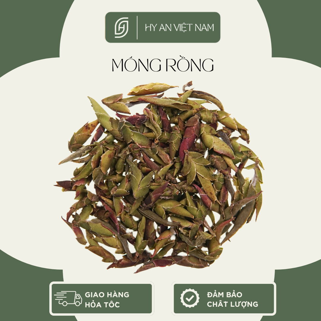 Combo Trà rừng - Ảnh 3