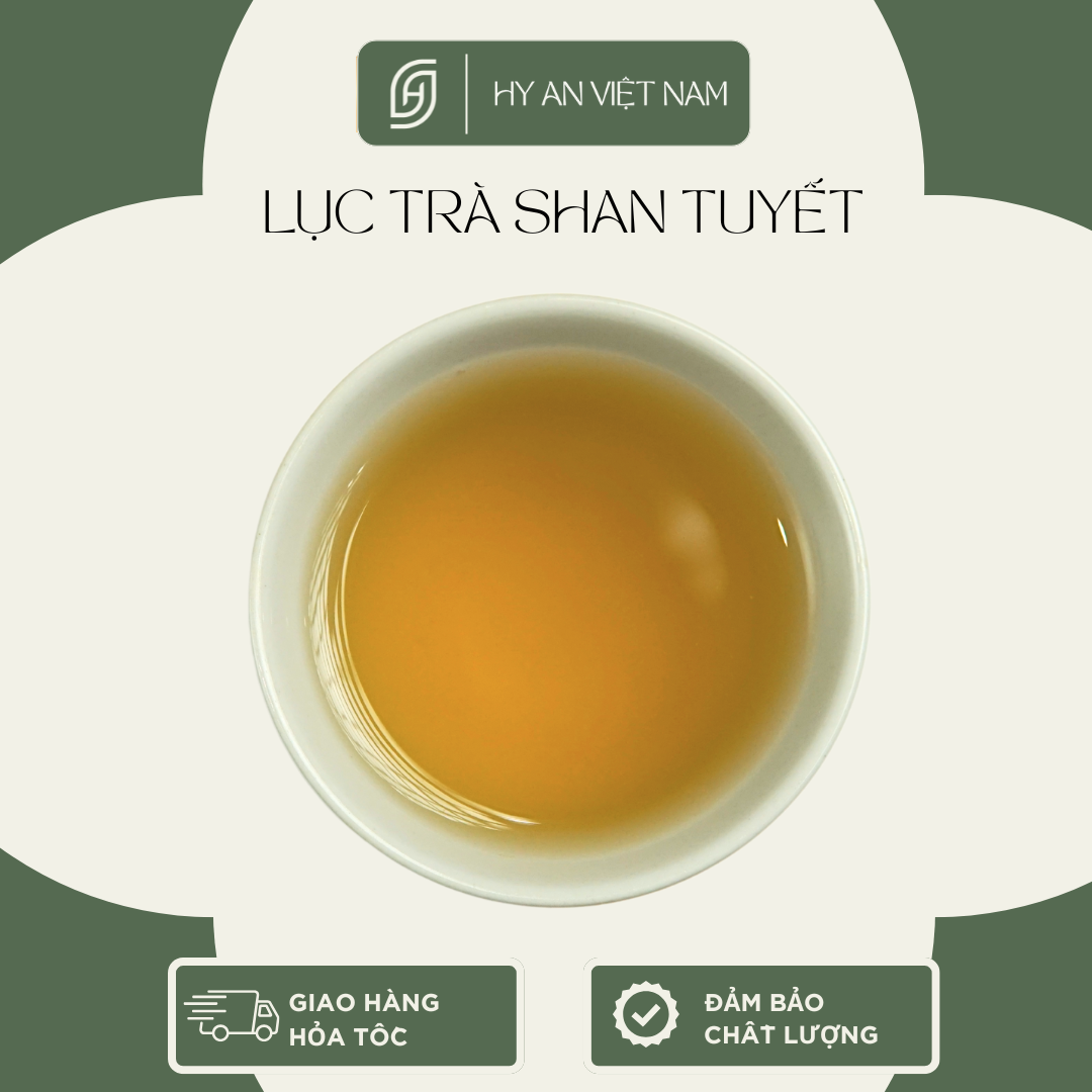 Combo Lục trà-trà xanh - Ảnh 7