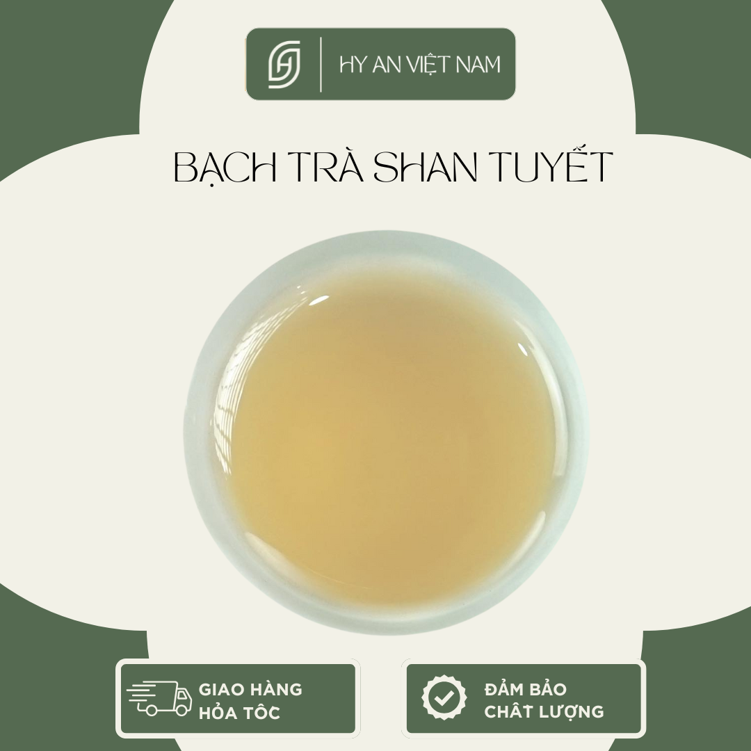 Bạch Trà - Ảnh 5