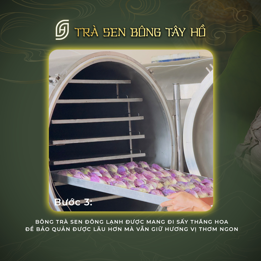 Trà sen Tây Hồ Hộp gồm 6 bông - Ảnh 8