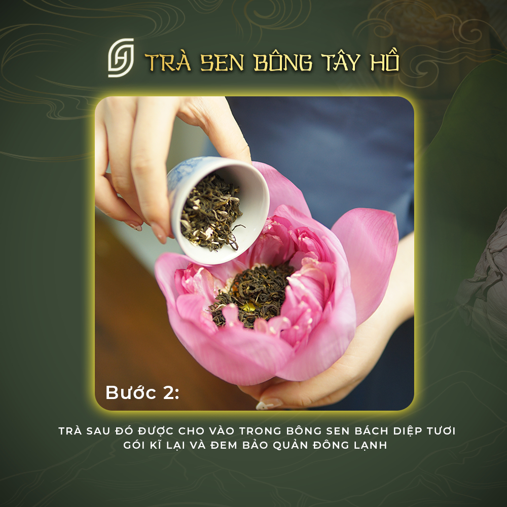 Trà sen Tây Hồ Hộp gồm 6 bông - Ảnh 6