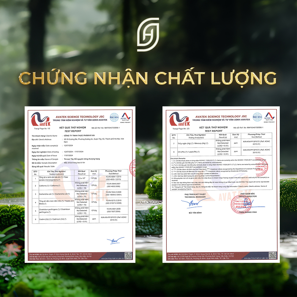 Trà sen Tây Hồ Hộp gồm 6 bông - Ảnh 9