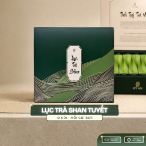 Lục Trà Shan Tuyết Cổ Thụ Hà Giang
