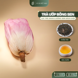 Trà Ướp Bông Sen Tây Hồ Thượng Hạng (Bông Lẻ Sấy Thăng Hoa)