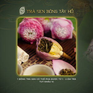 Trà Ướp Bông Sen Tây Hồ Thượng Hạng (Bông Lẻ Sấy Thăng Hoa) - ảnh 8