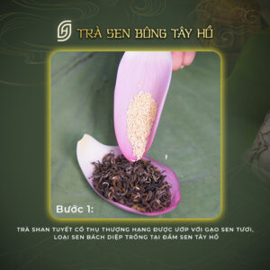 Trà Ướp Bông Sen Tây Hồ Thượng Hạng (Bông Lẻ Sấy Thăng Hoa) - ảnh 5